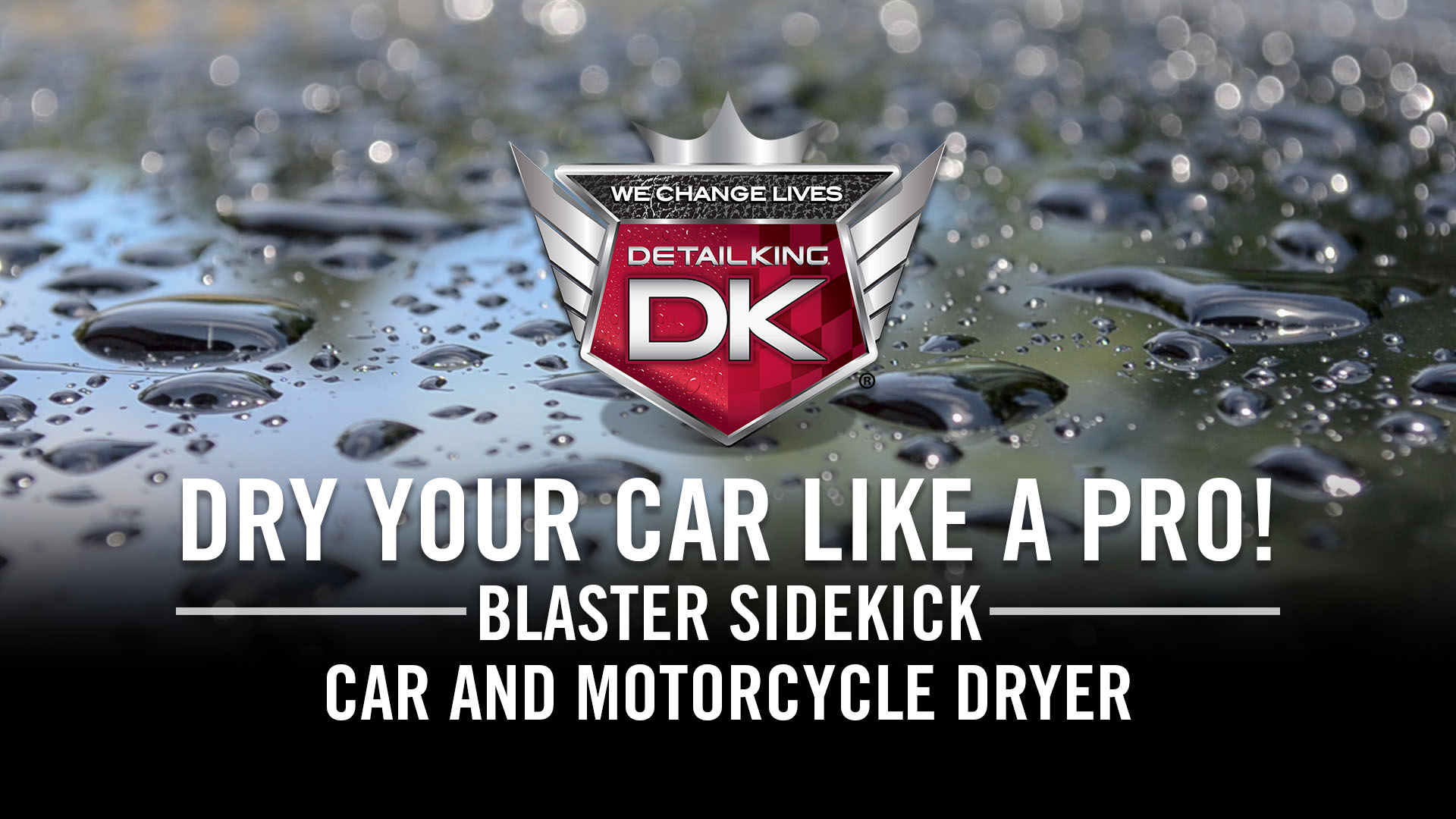 Blaster Sidekick Car & Motorcycle Dryer Detail King