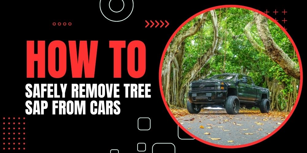 Best Way to Safely Remove Tree Sap from Cars Detail King